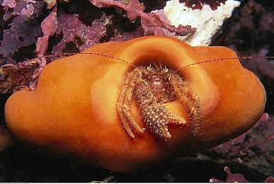 《明存实亡：锦衣夜行》新开发日志 精美图片欣赏