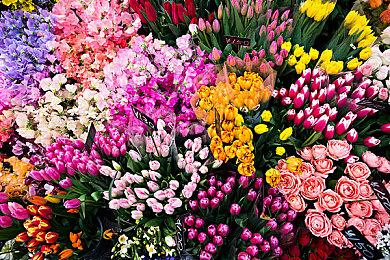 高速机甲动作游戏《Project Six》正式定名